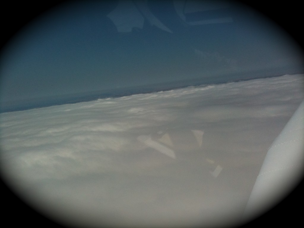 Life above the Bay Area marine layer at 4500ft. 