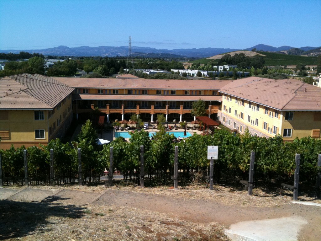 Looking towards the Meritage Resort from the hilltop vineyard. 