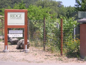Ridge - Lytton Springs (Dry Creek Valley)