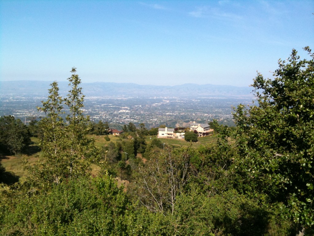 The views from Ridge 2000ft above the Santa Clara Valley. 
